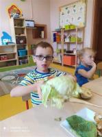 Click to view album: Słoneczka poznają warzywa