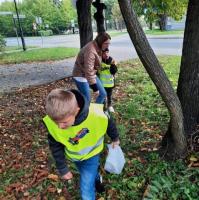 Click to view album: Słoneczka szukają jesieni