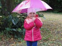 Click to view album: Biedronki pod parasolem