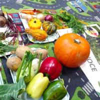 Click to view album: Owoce i warzywa Skrzaty