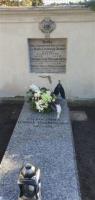 Kliknij aby zobaczyć album: Biedronki na cmentarzu